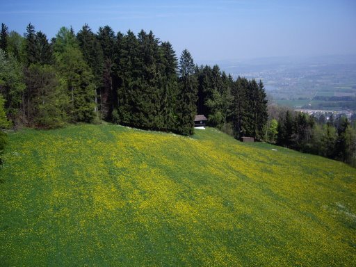 hochwacht_pfannenstiel_03