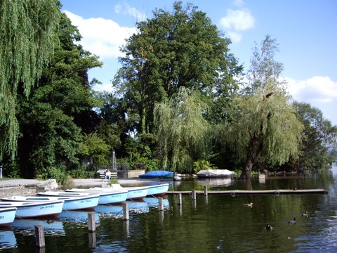 lake_greifensee_02